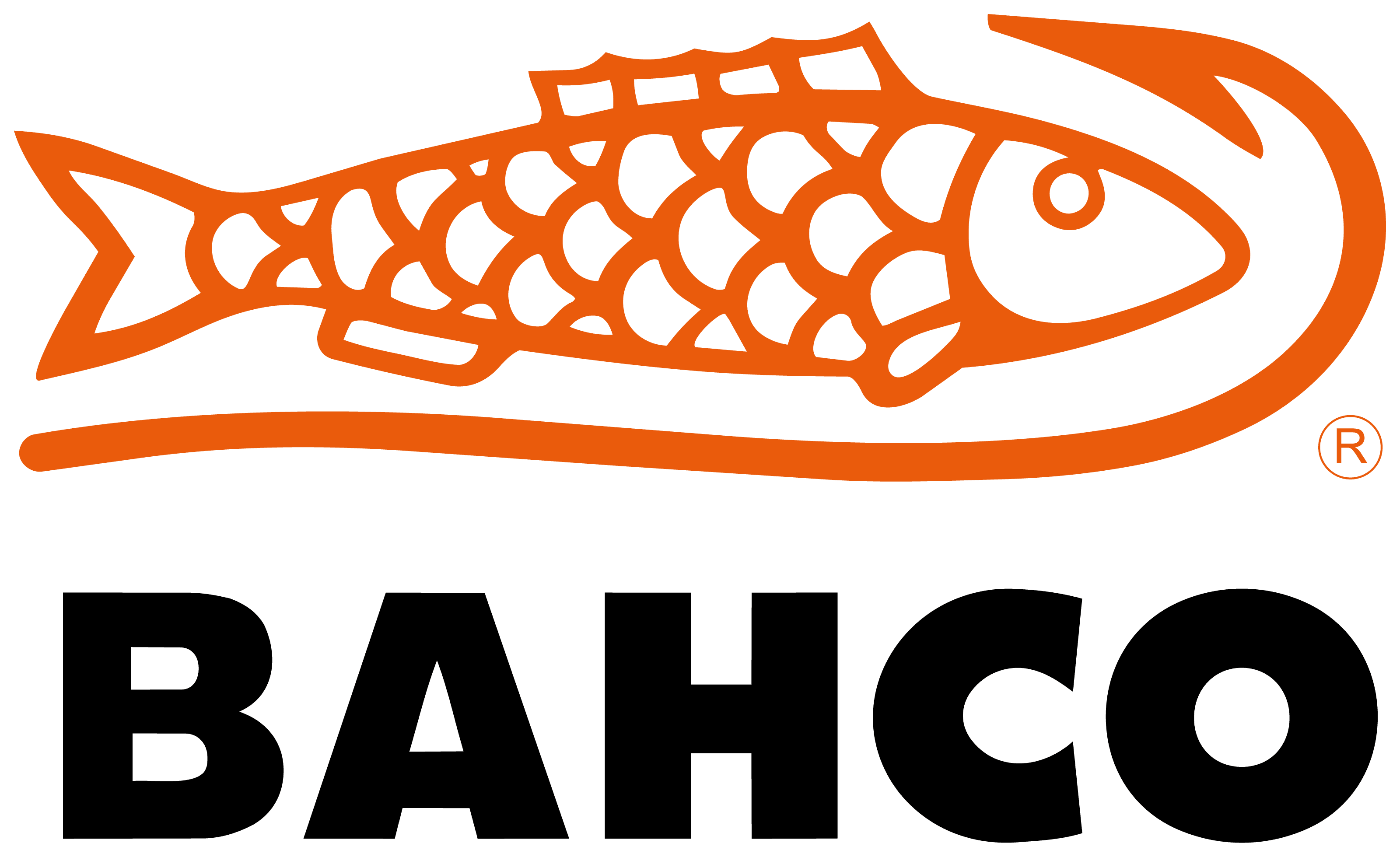 BAHCO